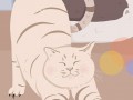 原创插画科技 21张可爱的猫咪插画告诉你：为什么喵星人可以轻易掌控人类