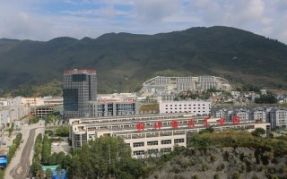 同明科技 筑巢引凤择“桐”驻 固巢养凤选“桐”居