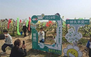 大萄科技 方城县博望镇:农业集成链 链上兴产业 大萄科技 方城县博望镇:农业集成链 链上兴产业