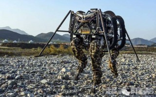 巡山科技 机器人带着机器狗巡山，当“社牛”新科技来到张家界