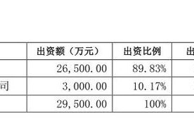 山东神思科技 3000万元入股刚设的关联公司，易主济南国资的神思电子向何处去？
