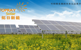 深圳拓日新能源科技 拓日新能 Q1 巨亏 4081 万！光伏行业寒冬下的生存突围