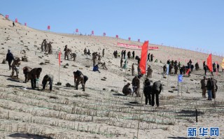 彼孚科技 向沙地宣战，他们赢了