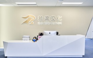 上海若鸿科技 “短得可怕”的若鸿文化开启上市辅导，网文作家董事长身价即将起飞？