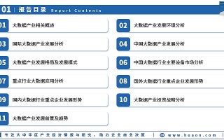 广州同略科技 2024年中国大数据服务TOP100名单解读