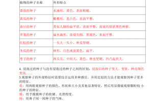 四年级科技术 四年级下册《科学》全册知识点总结 四年级科技术 四年级下册《科学》全册知识点总结