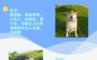 台湾好养科技 调查指逾六成台湾上班族养宠物