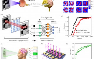 北京做一科技 北京一术科技申请基于神经网络的生物特征识别专利，解决了生物特征识别样本不足及存储资源受限的问题
