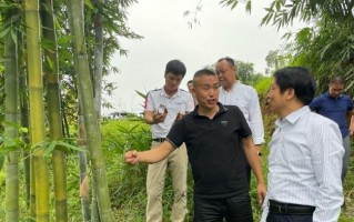 子竹科技 民营经济发展正当时︱“一棵竹”：根植牡丹江，科技为楫勇闯新材料“蓝海”